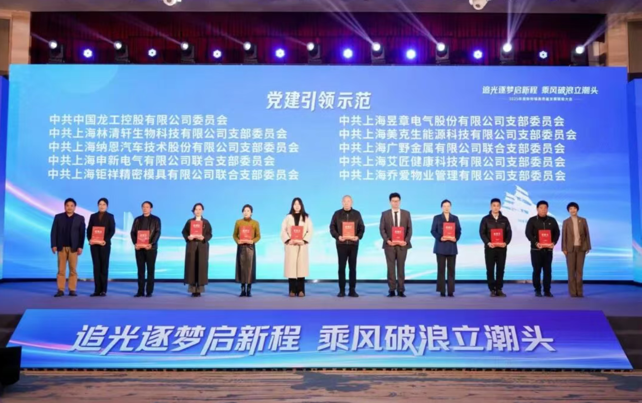 喜报！美克生能源荣获松江区新桥镇“党建引领示范”奖