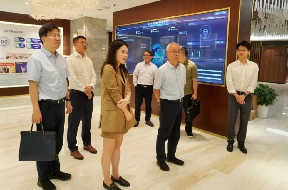 上海市发改委领导一行莅临美克生能源考察调研，储能与虚拟电厂技术获高度认可 